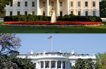 Trump Just Announced What He’s Doing To WH Christmas Tree No Matter How Many Libs Are MAD About It